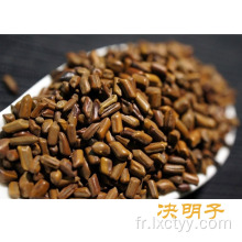 graines de cassia herbe chinoise